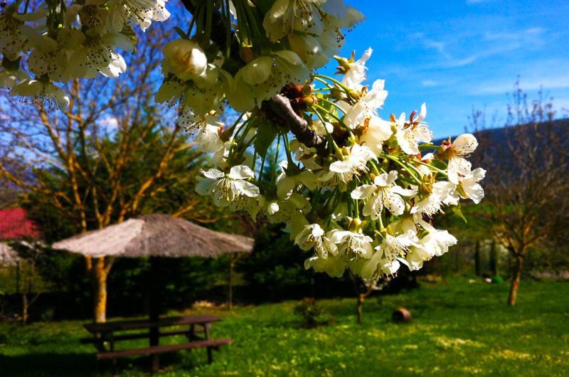 Hotel Arte Y Natura Valdivielso Quintana de Valdivielso Zewnętrze zdjęcie