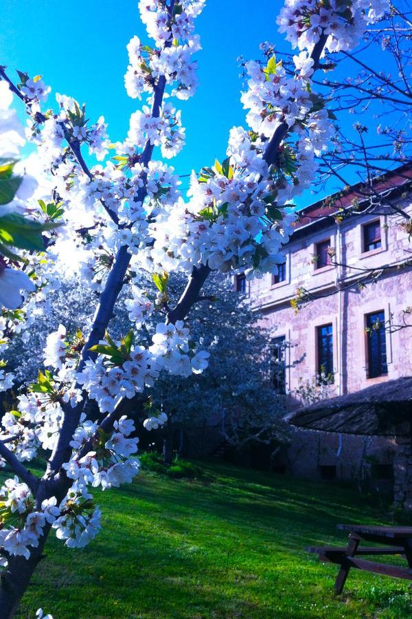 Hotel Arte Y Natura Valdivielso Quintana de Valdivielso Zewnętrze zdjęcie